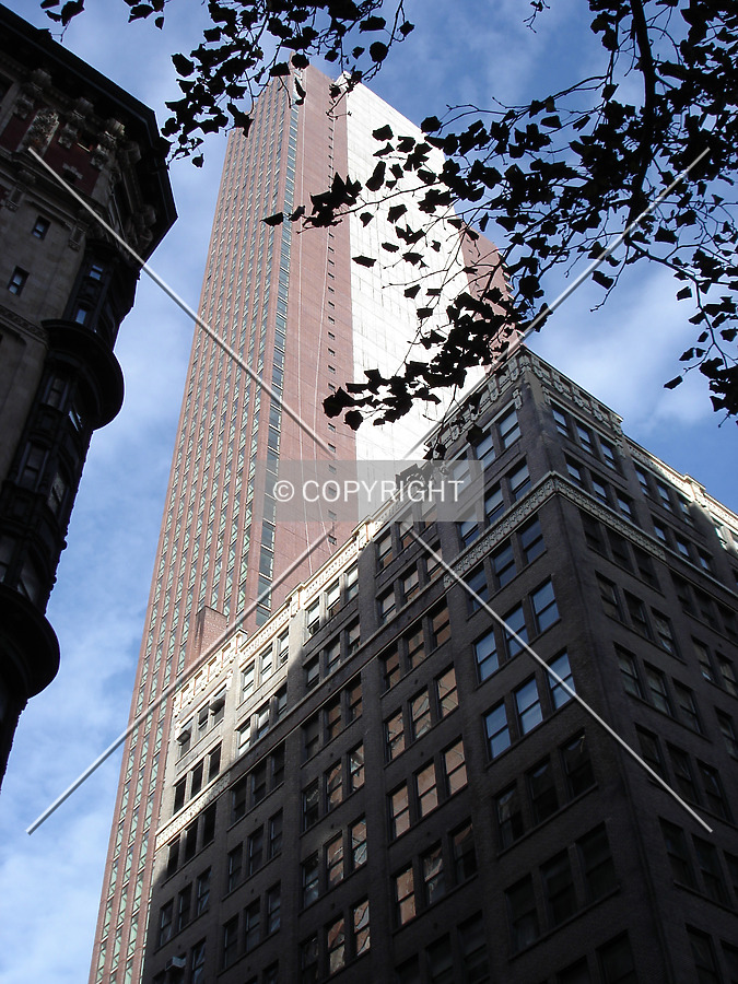 View from Madison Avenue