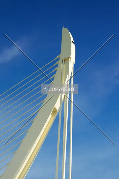 Photo 520-706-081