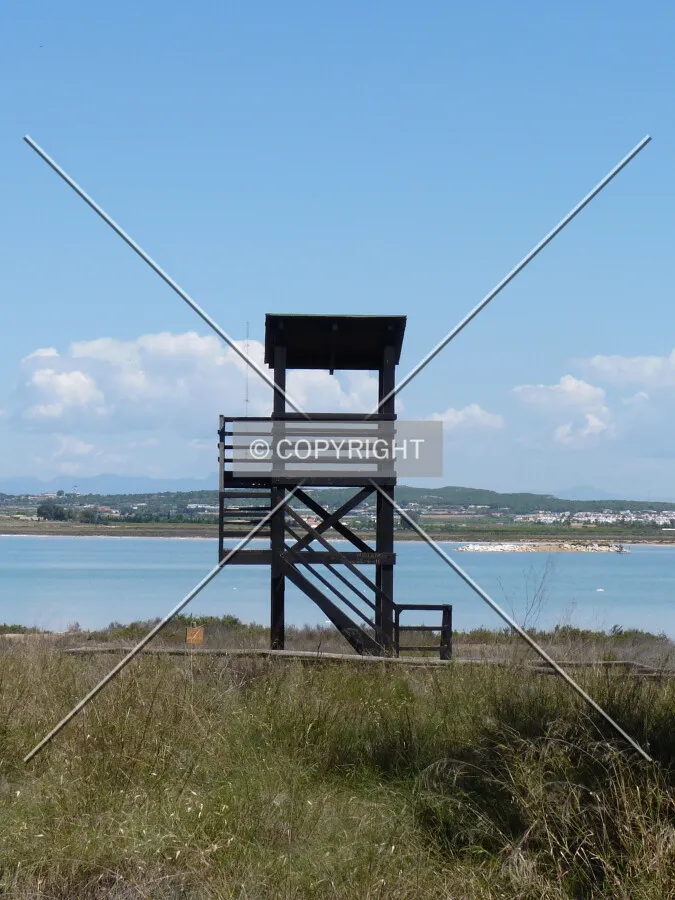 Bird-watching tower