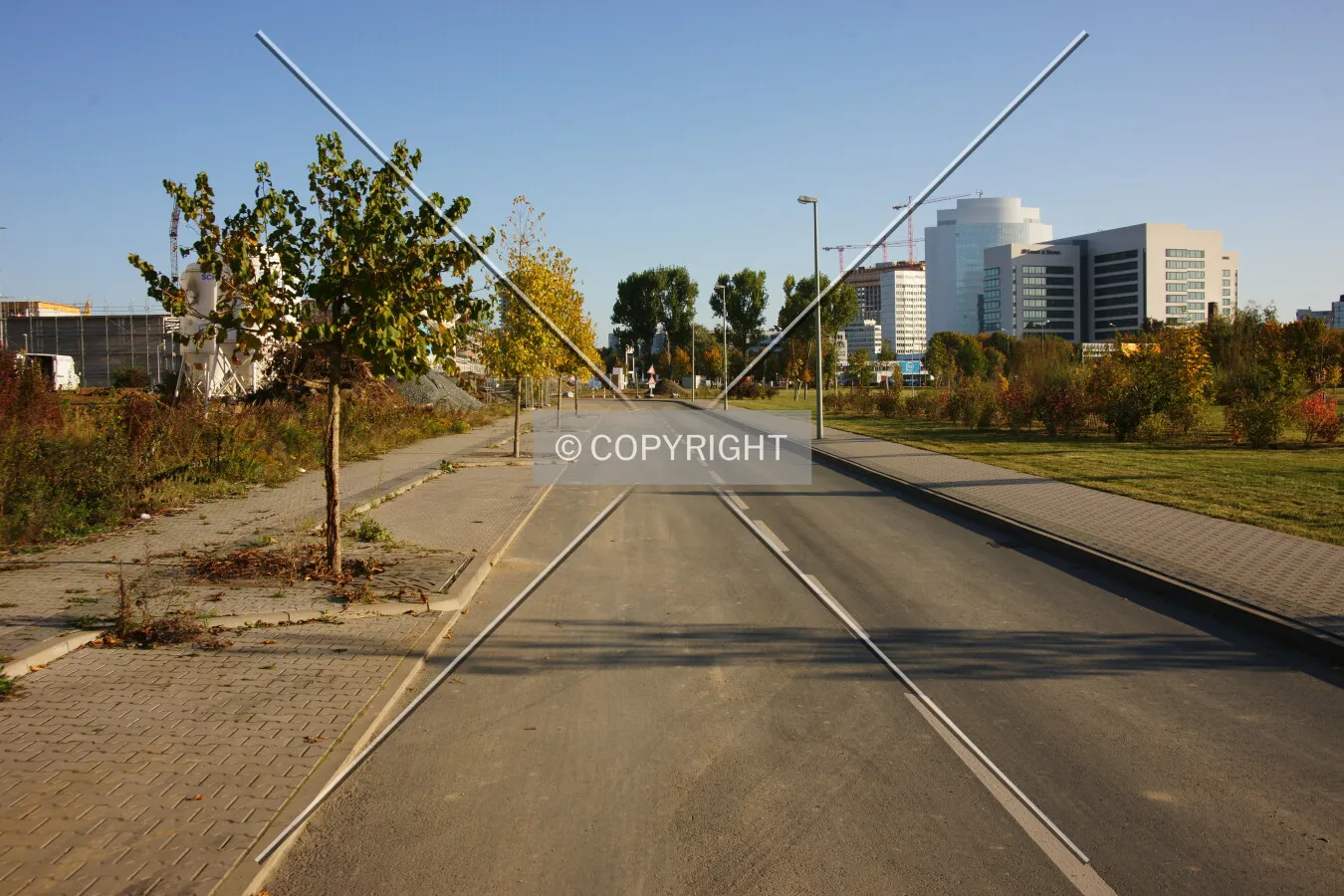 Photo 521-208-434