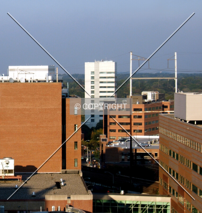 View from the southwest
