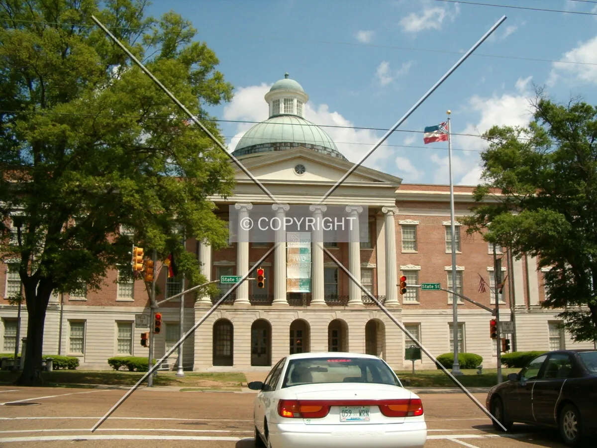 View from North State Street