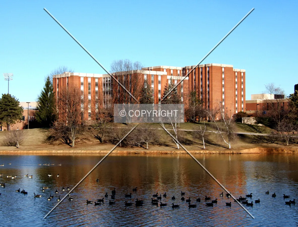 Shorts and Eagle Halls from the southwest