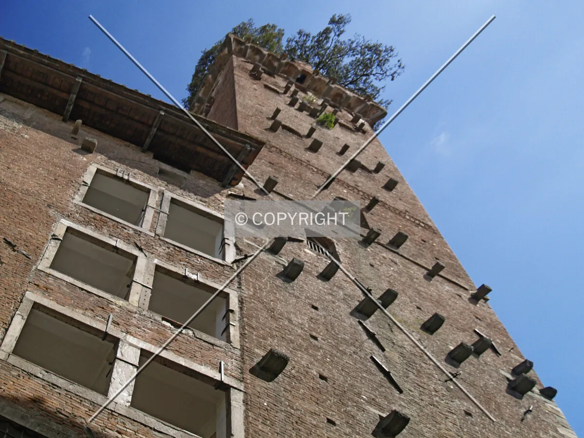 Looking up to the tower