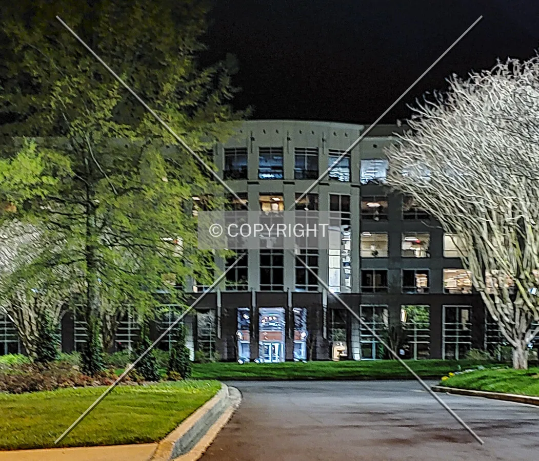 Northeast view at night; March 30, 2020