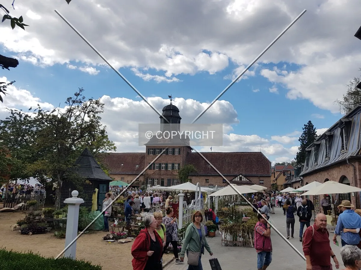 Schloß Wolfsgarten in 2018