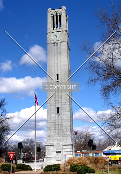 Photo 524-239-932