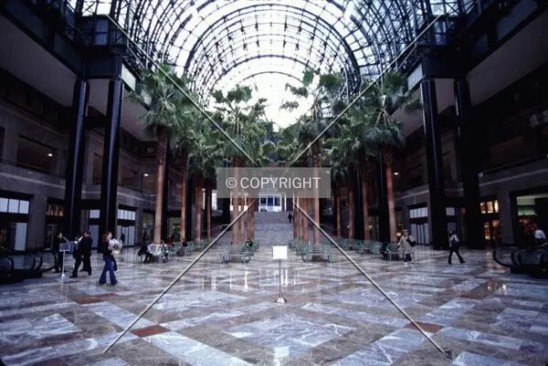 Winter Garden
