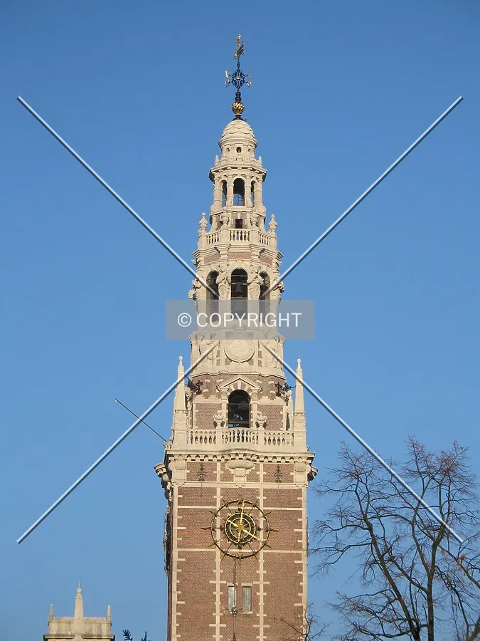 Looking up from the south