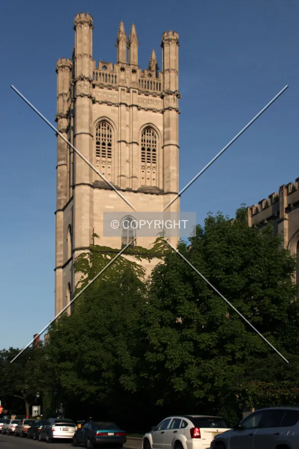 Photo 525-256-772