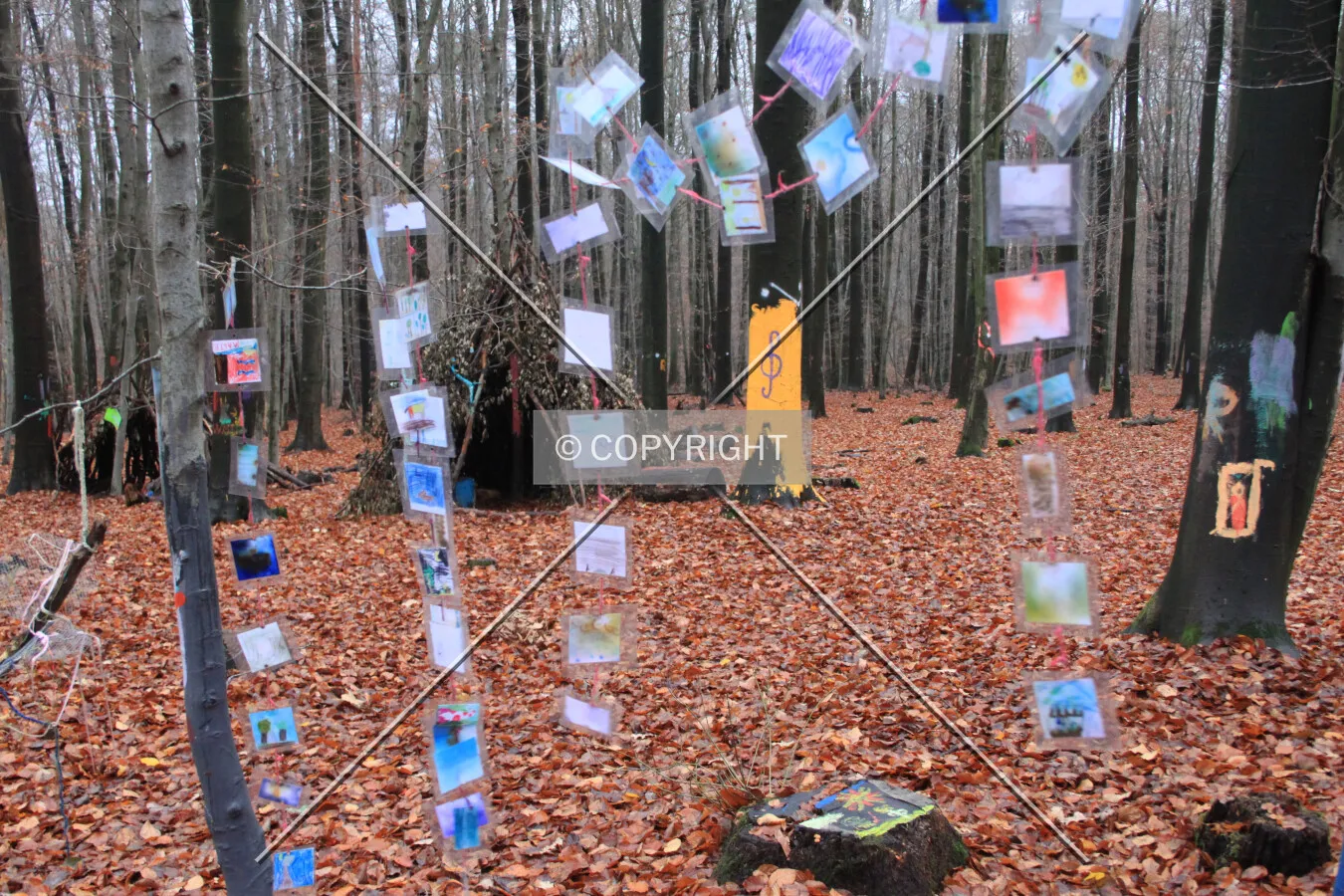Forest art in the Taunus hills