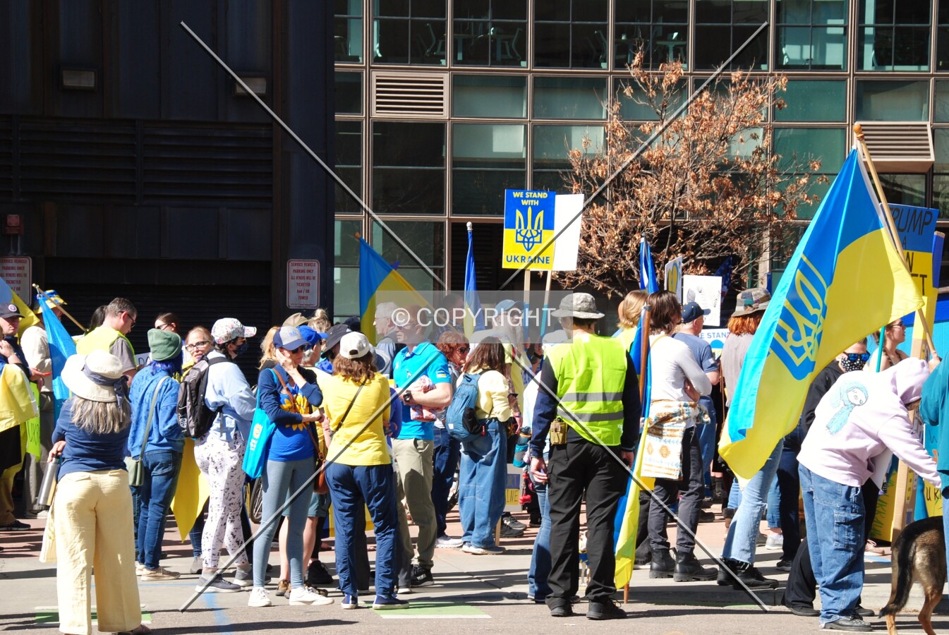 Ukraine supporters marching in a pro Ukraine demonstration