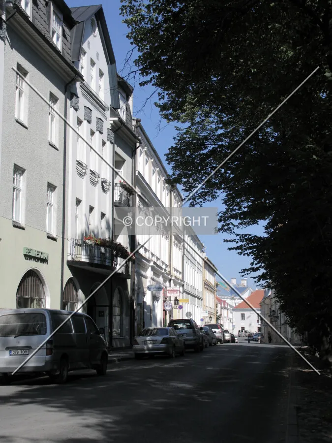 Ülikooli Street