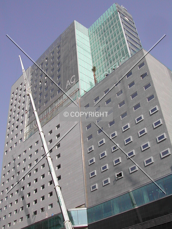 Mobile crane working on the building