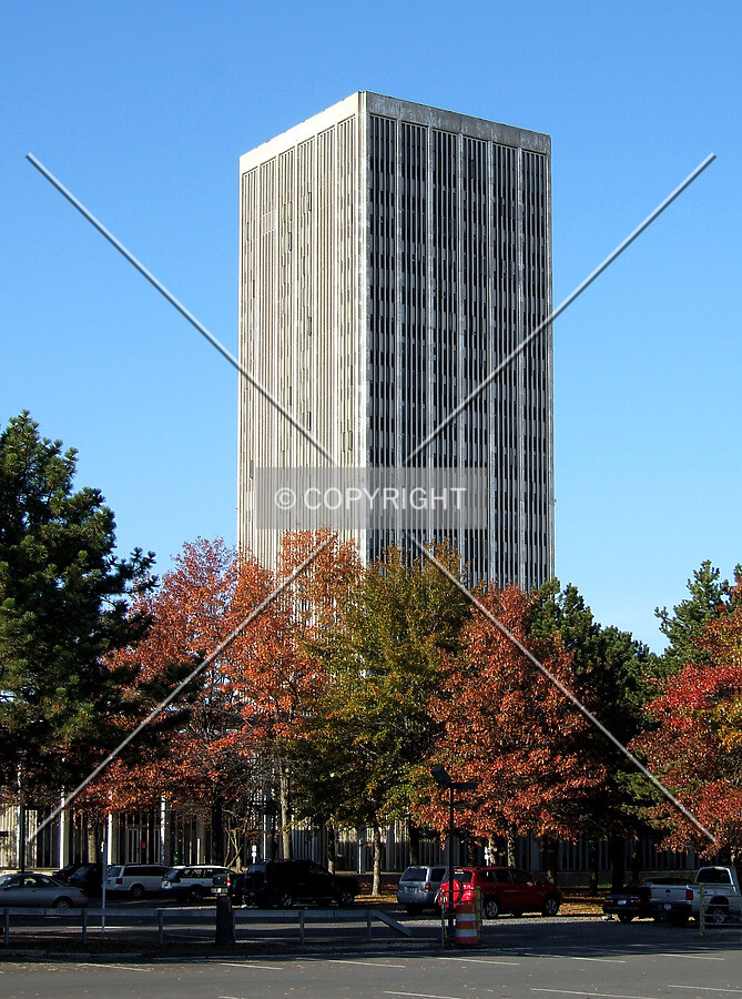 View from the southeast