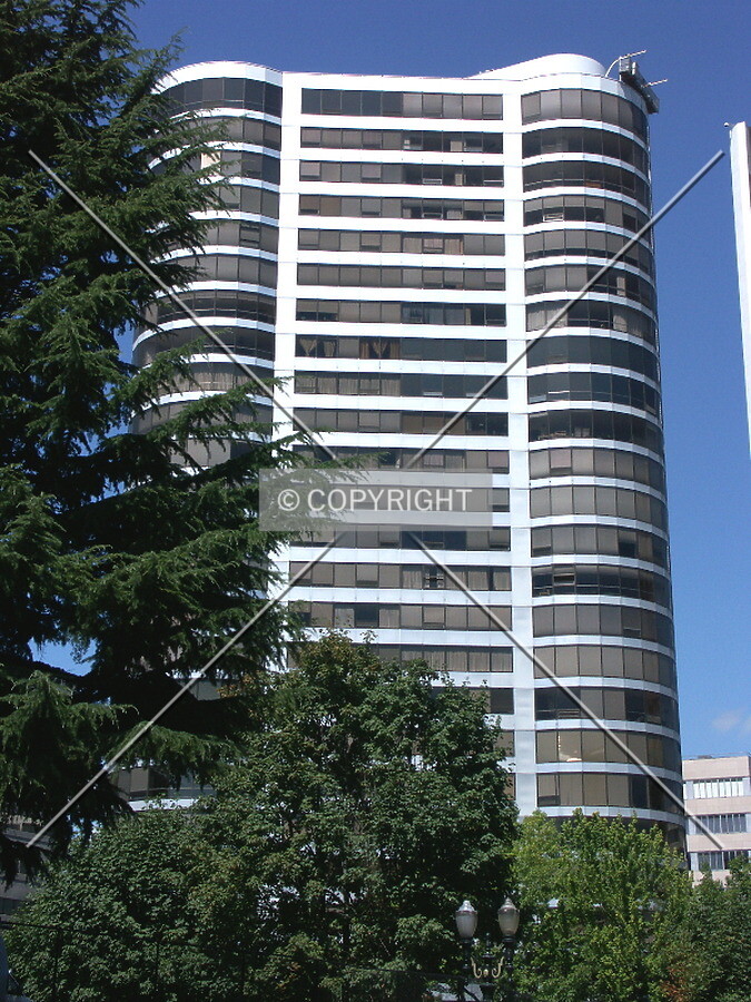 View from Fifth Avenue looking north