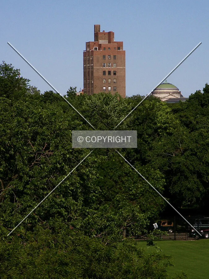 Rising above the trees, with the Museum of Science and Industry to the right