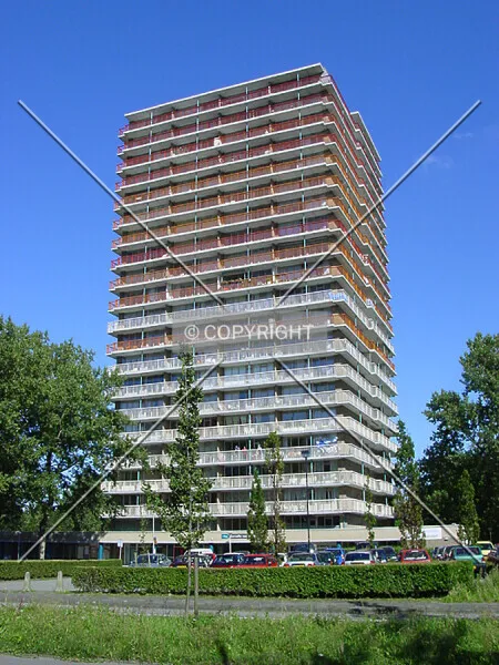 Cornelis van Aalst
