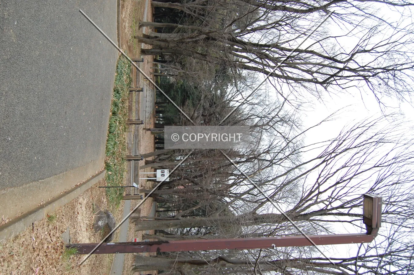Photo 528-519-074