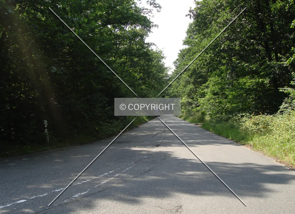 Photo 528-644-155