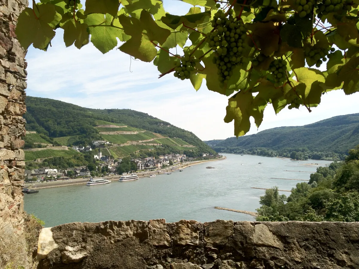 Photo 529-114-894