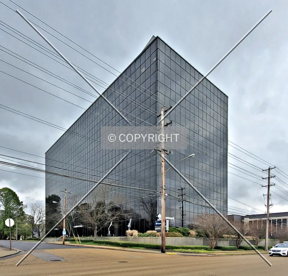 Southwest view; March 18, 2020