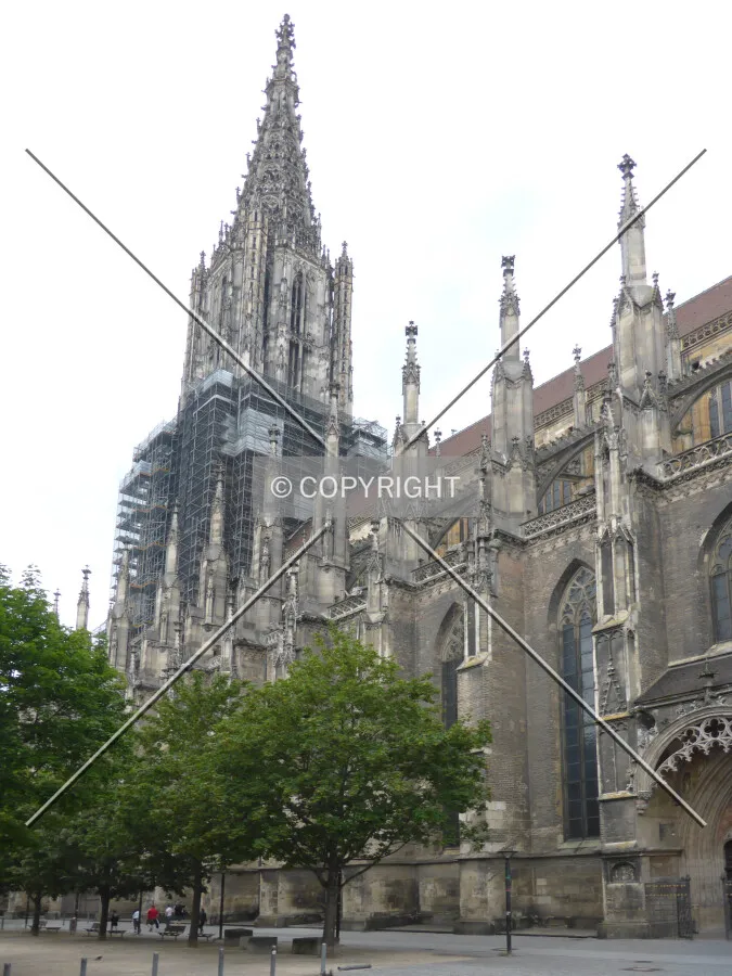Photo 053-061-552