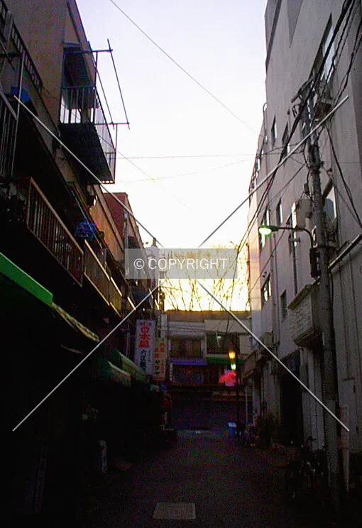 Photo 530-633-835