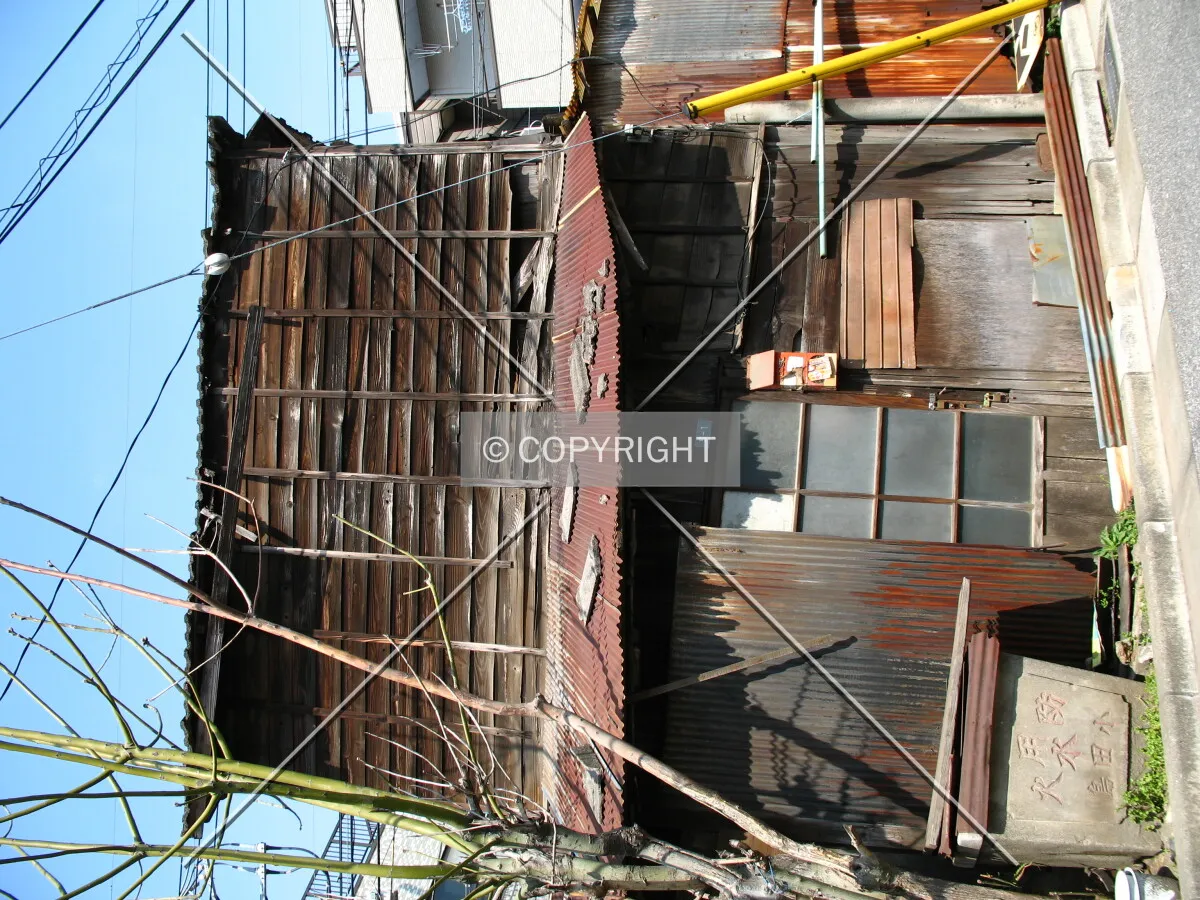 Photo 530-849-345