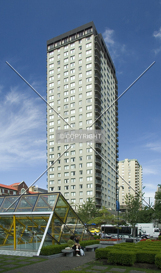 View from the east