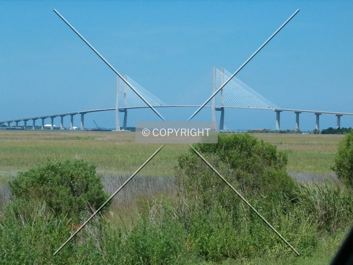 View from Highway 17 looking northeast
