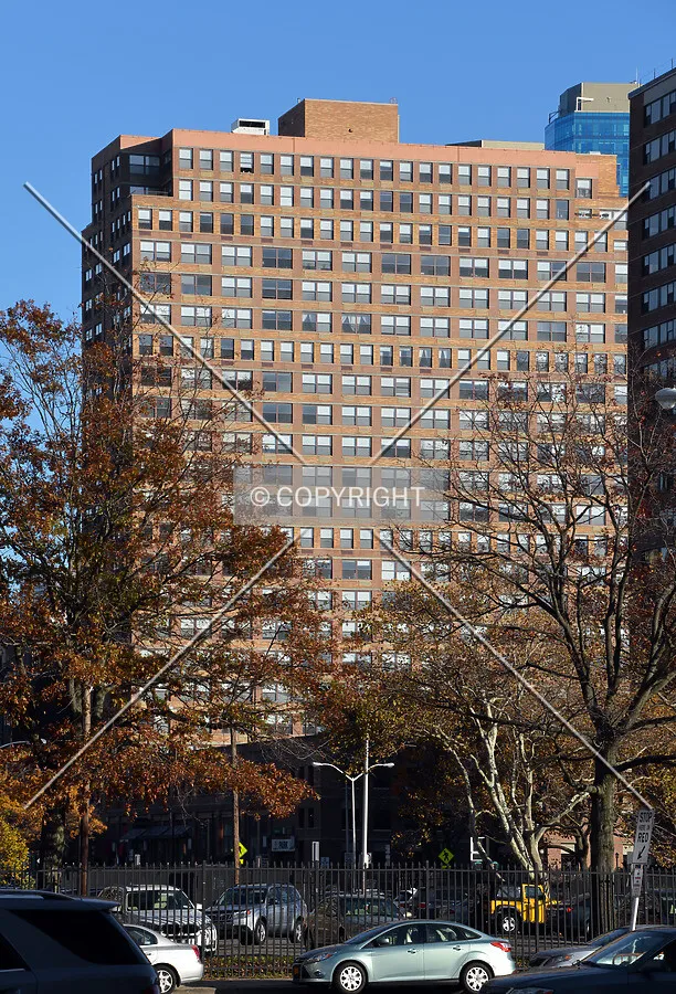 View from the northwest