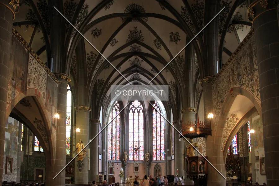 Photo 533-263-718
