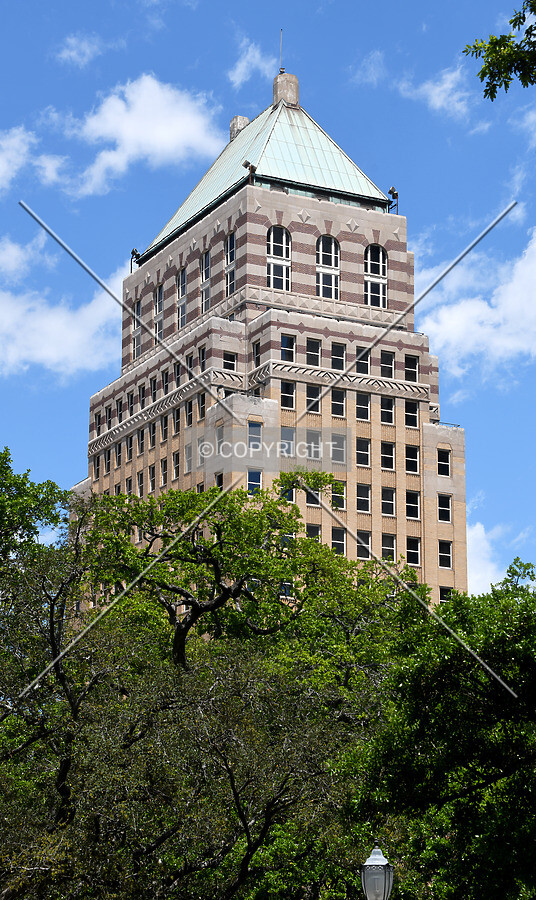 View from the southwest