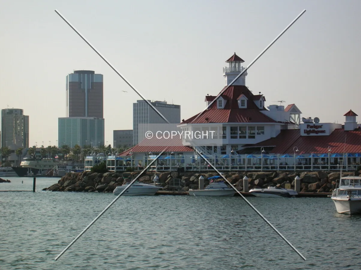 View from the coastline on downtown
