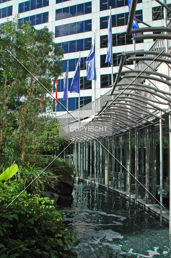 Pond in the complex garden
