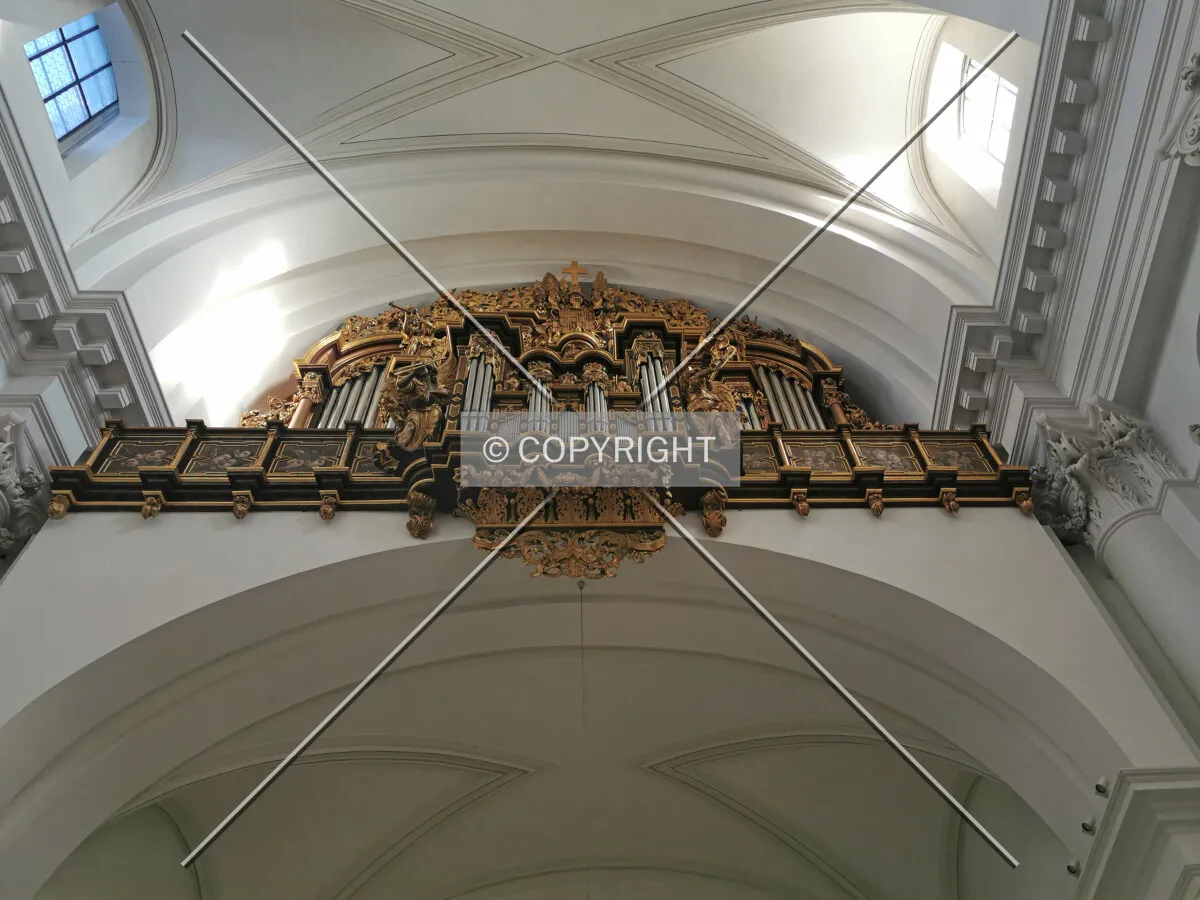 Photo 534-674-681
