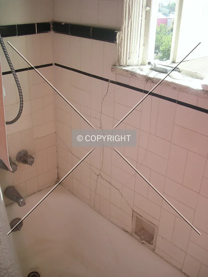 Bath tub and shower in a bath room
