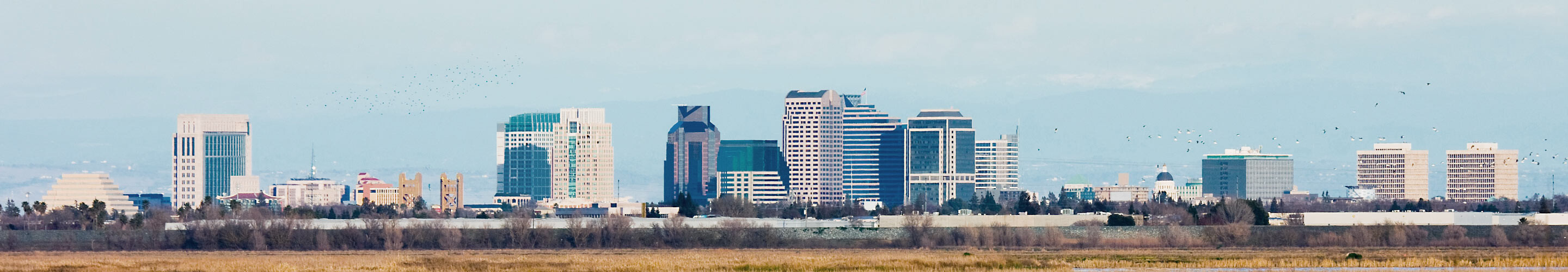 Photo 535-585-040