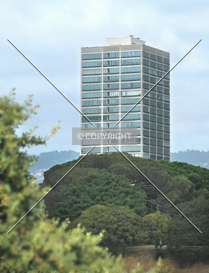 Viewed from the west