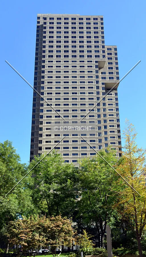 View from the southwest