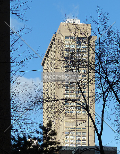 Photo 536-416-173