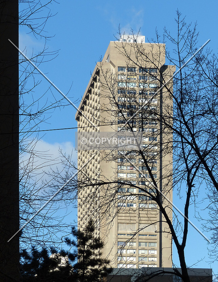Photo 536-416-173