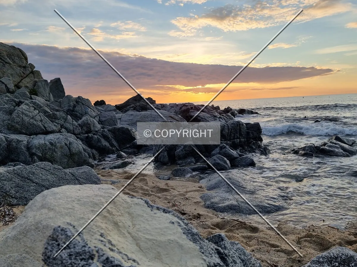 Photo 536-663-632