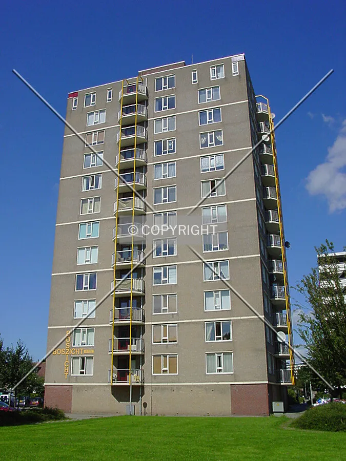 View from the south