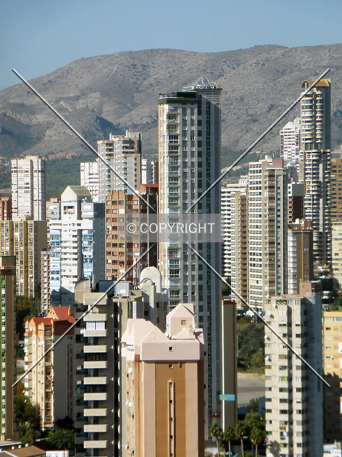 Photo 537-231-742