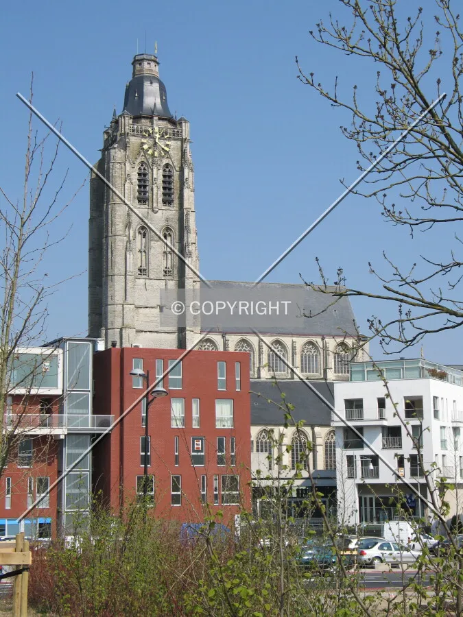 Southern view