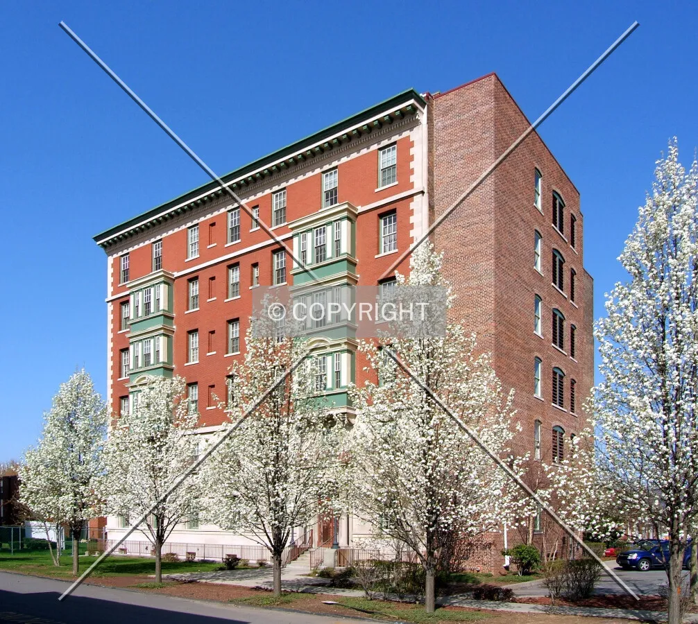 View from the east