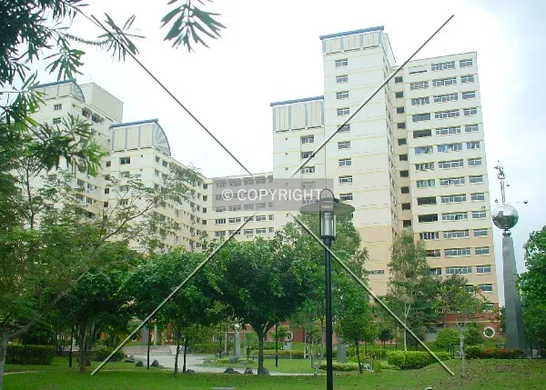 View from Brantonsaur Park