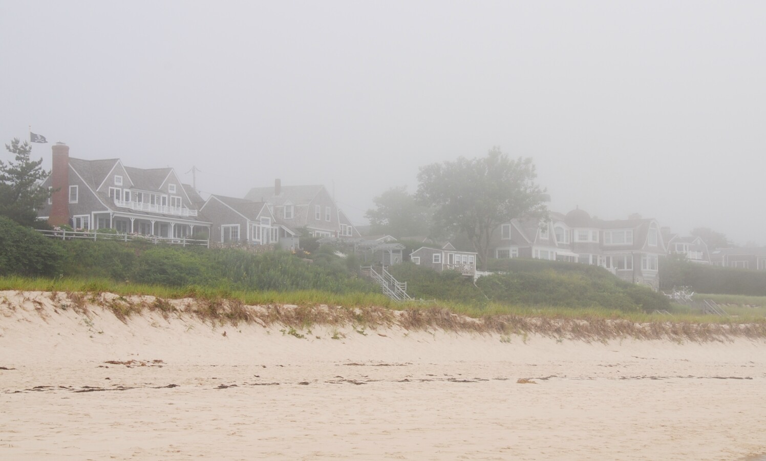 Houses in the fog